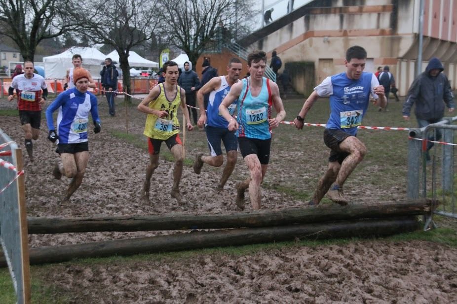 HIVERNALES 2017