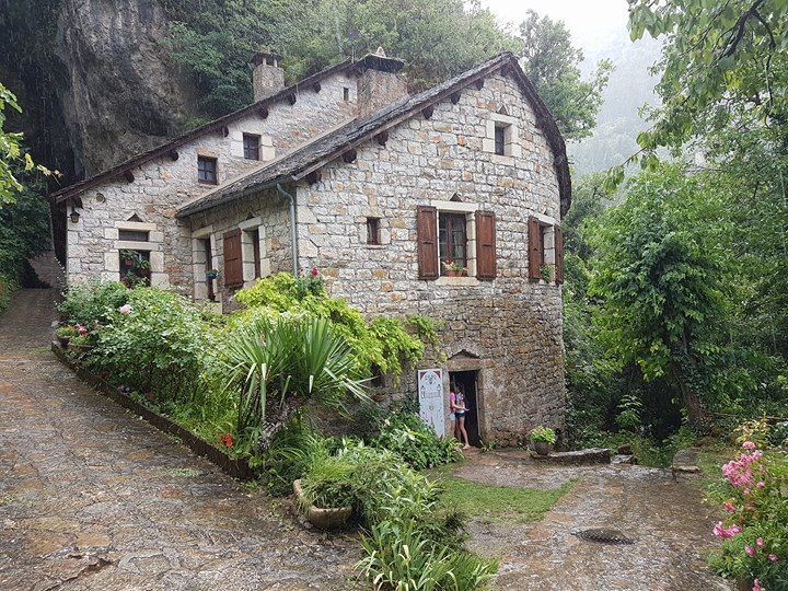 ESTIVALES 2017
