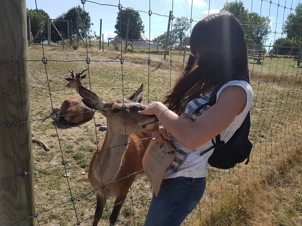 ESTIVALES 2017