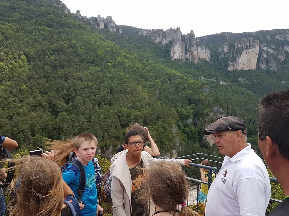 ESTIVALES 2017
