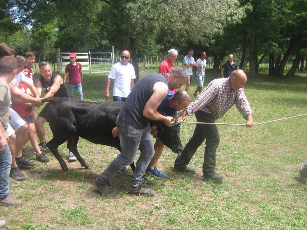 PRINTANIERES 2018