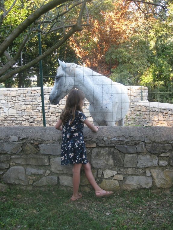 PRINTANIERES 2018