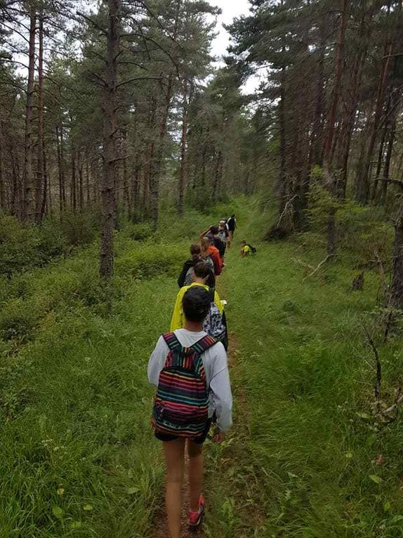 ESTIVALES 2018