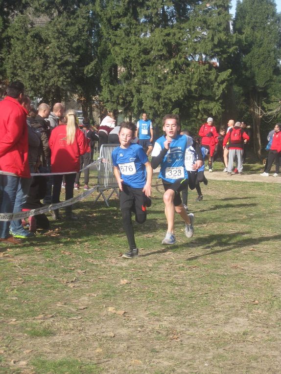 HIVERNALES 2019