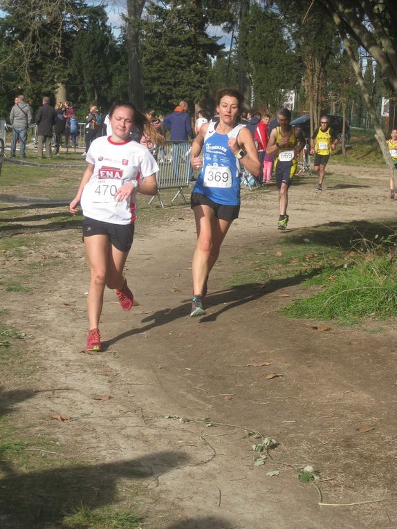 HIVERNALES 2019