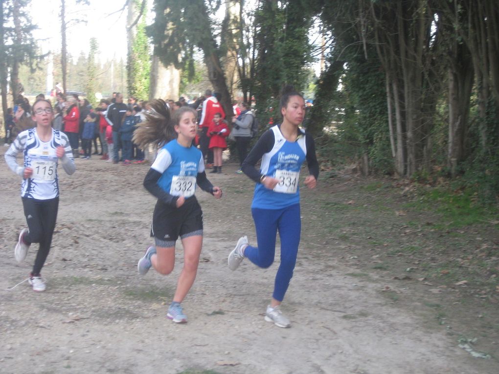 HIVERNALES 2019