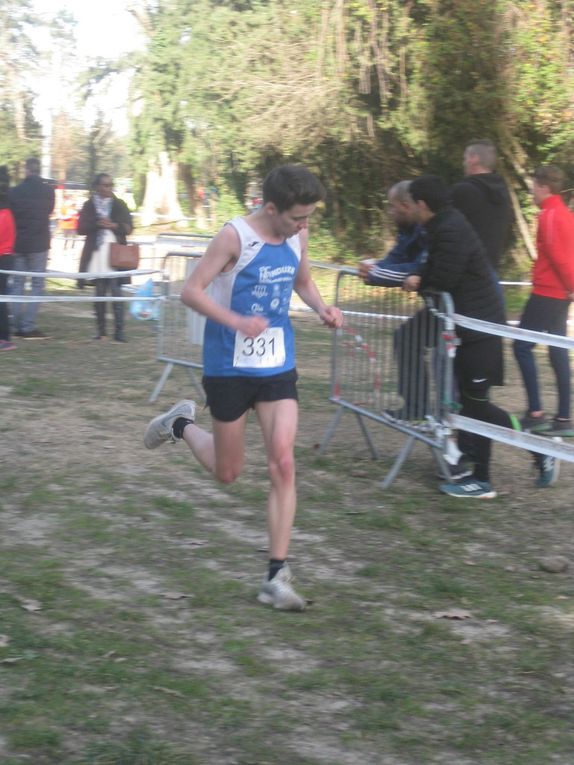 HIVERNALES 2019