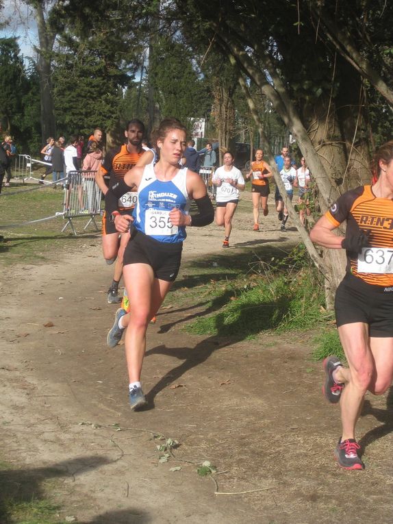 HIVERNALES 2019