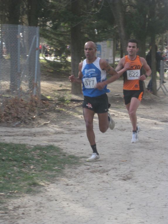 HIVERNALES 2019