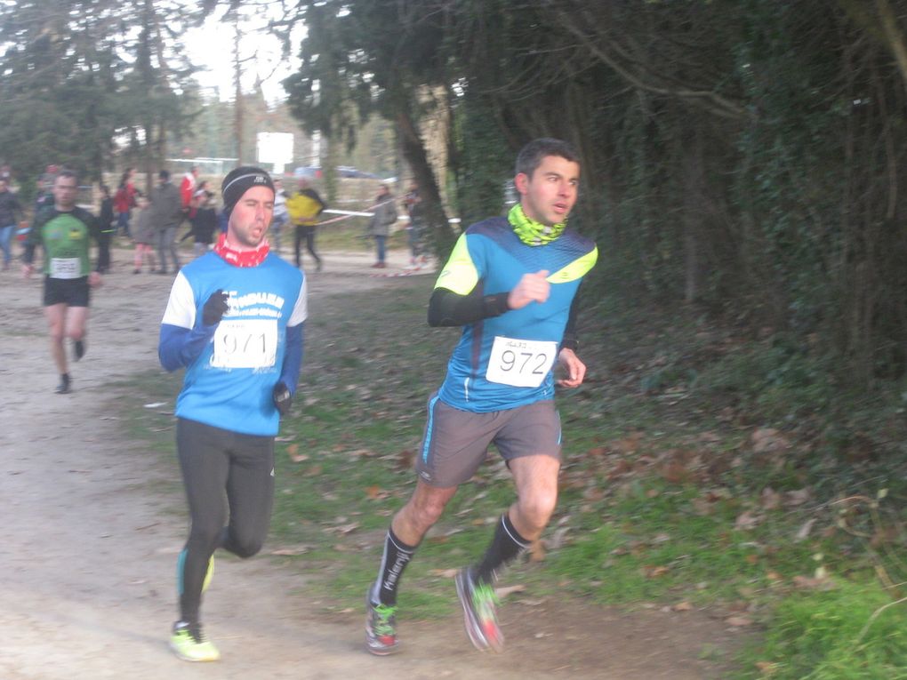HIVERNALES 2019