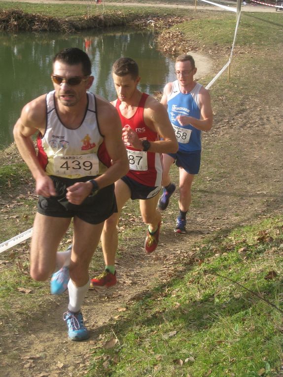 HIVERNALES 2019