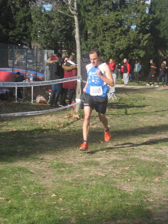HIVERNALES 2019
