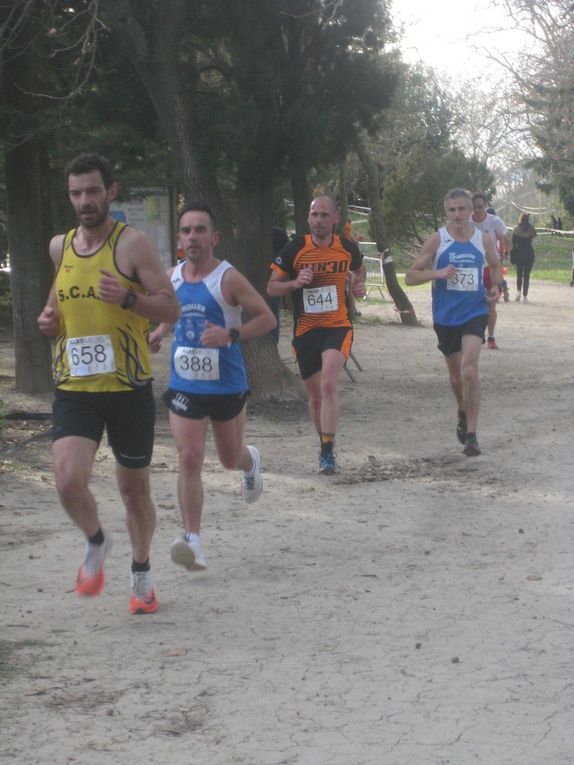 HIVERNALES 2019