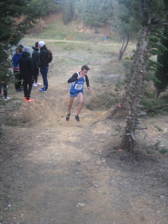 HIVERNALES 2019
