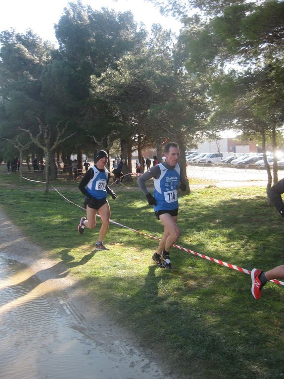 HIVERNALES 2019