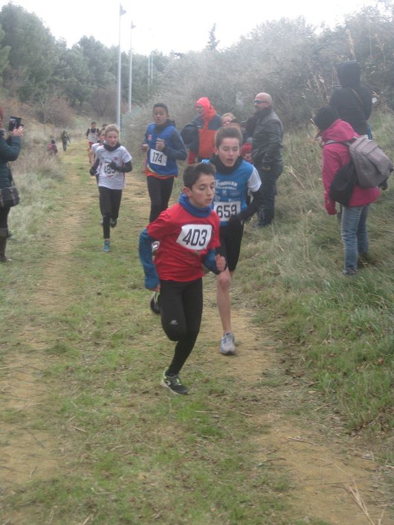 HIVERNALES 2019