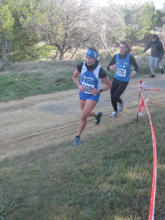 HIVERNALES 2019