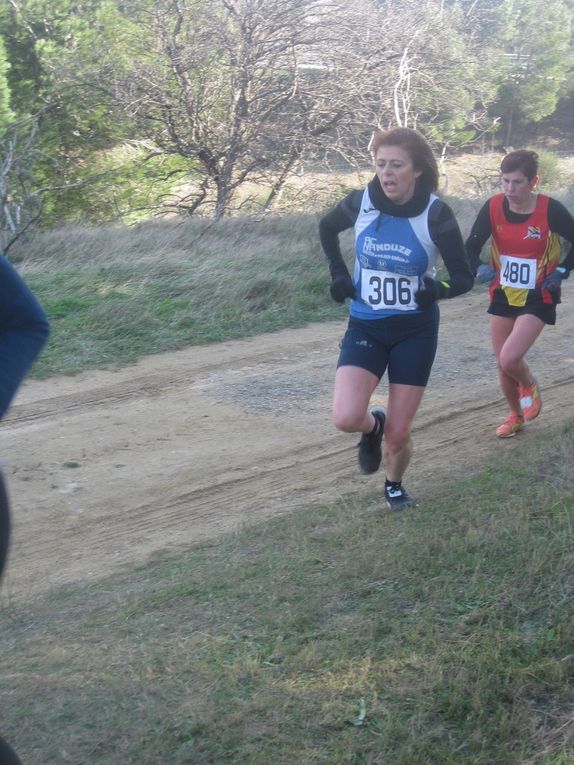 HIVERNALES 2019