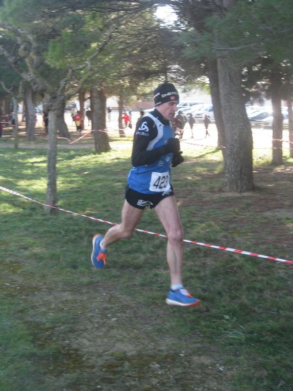 HIVERNALES 2019