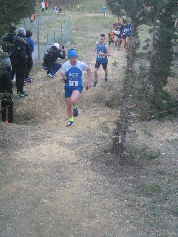HIVERNALES 2019