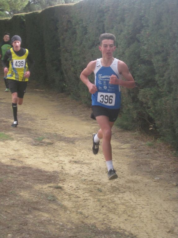 HIVERNALES 2019
