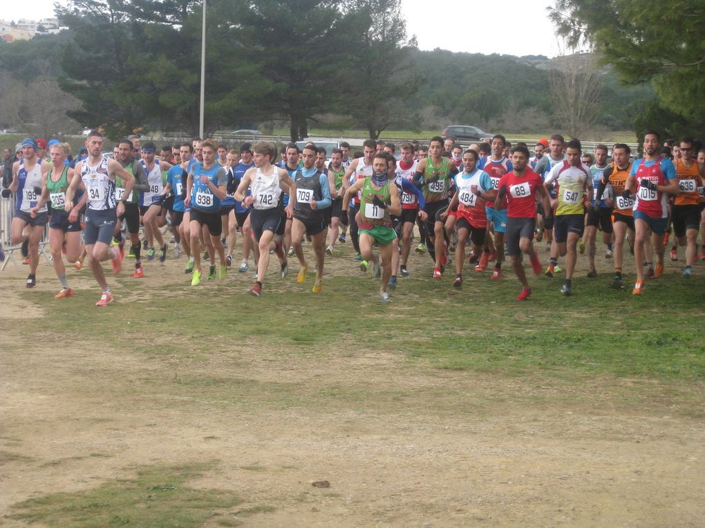 HIVERNALES 2019