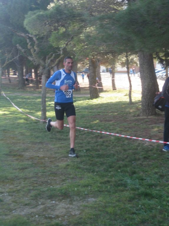 HIVERNALES 2019