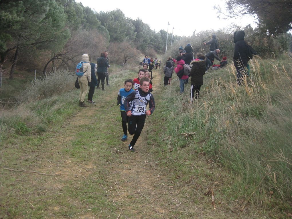 HIVERNALES 2019