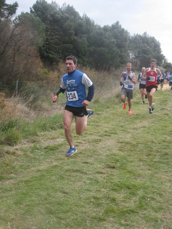 HIVERNALES 2019