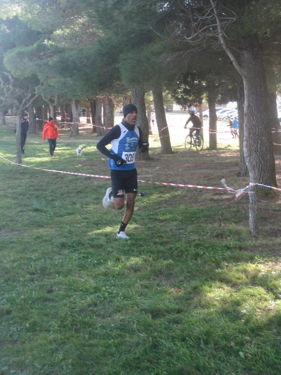 HIVERNALES 2019