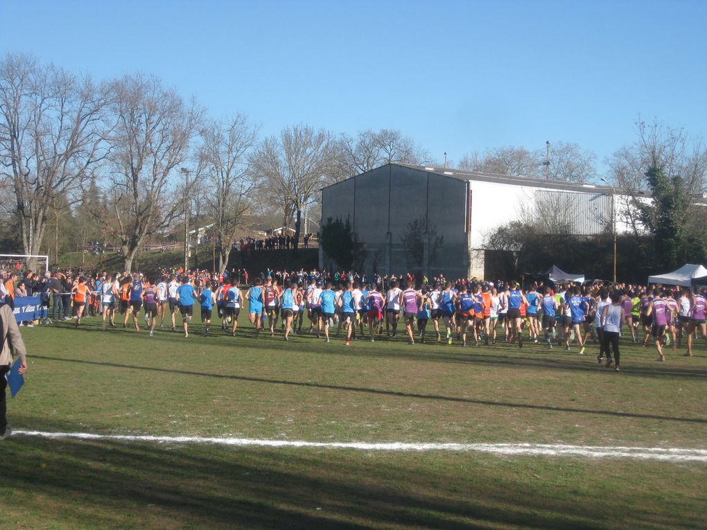 HIVERNALES 2019