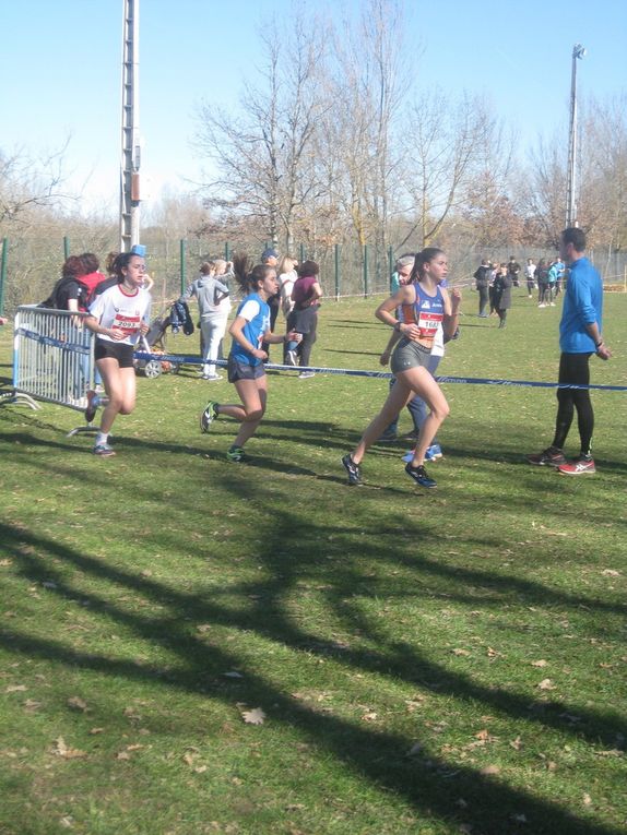HIVERNALES 2019