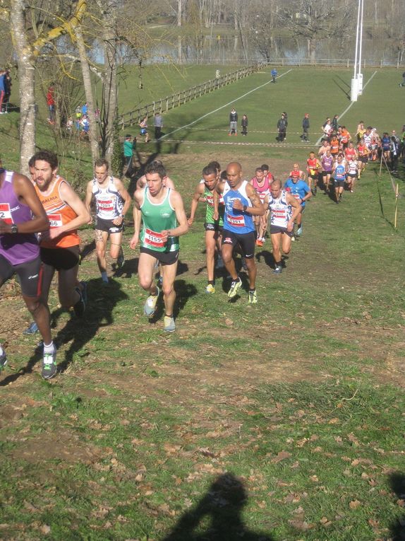 HIVERNALES 2019