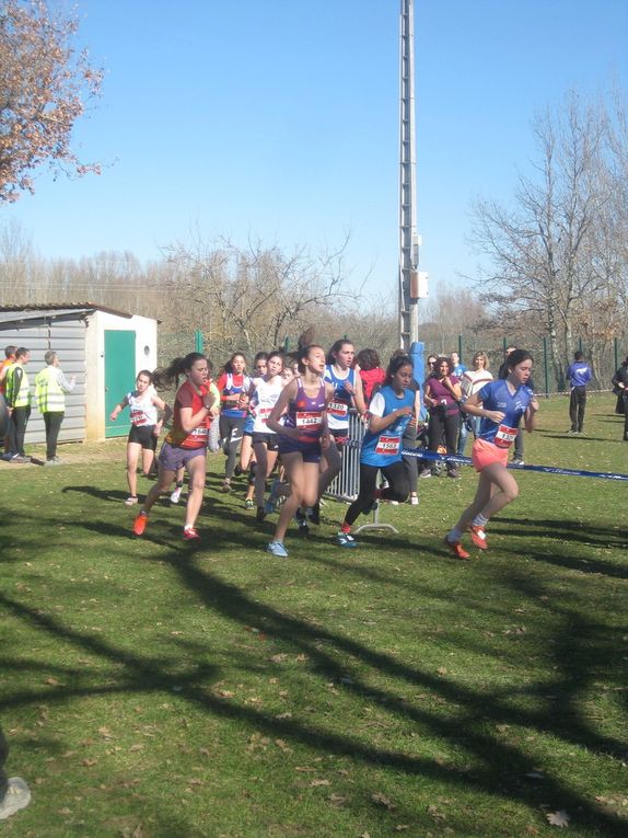 HIVERNALES 2019