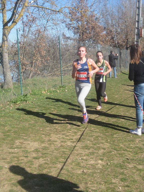 HIVERNALES 2019