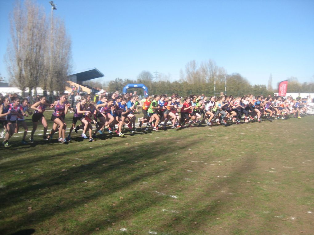 HIVERNALES 2019