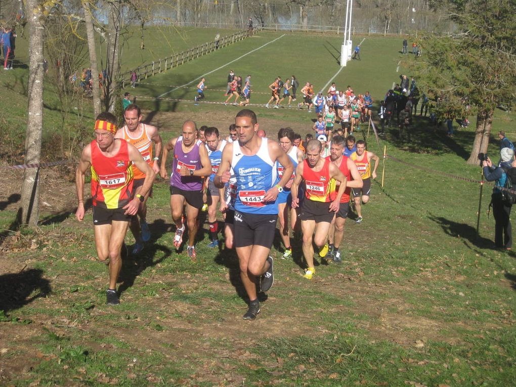 HIVERNALES 2019