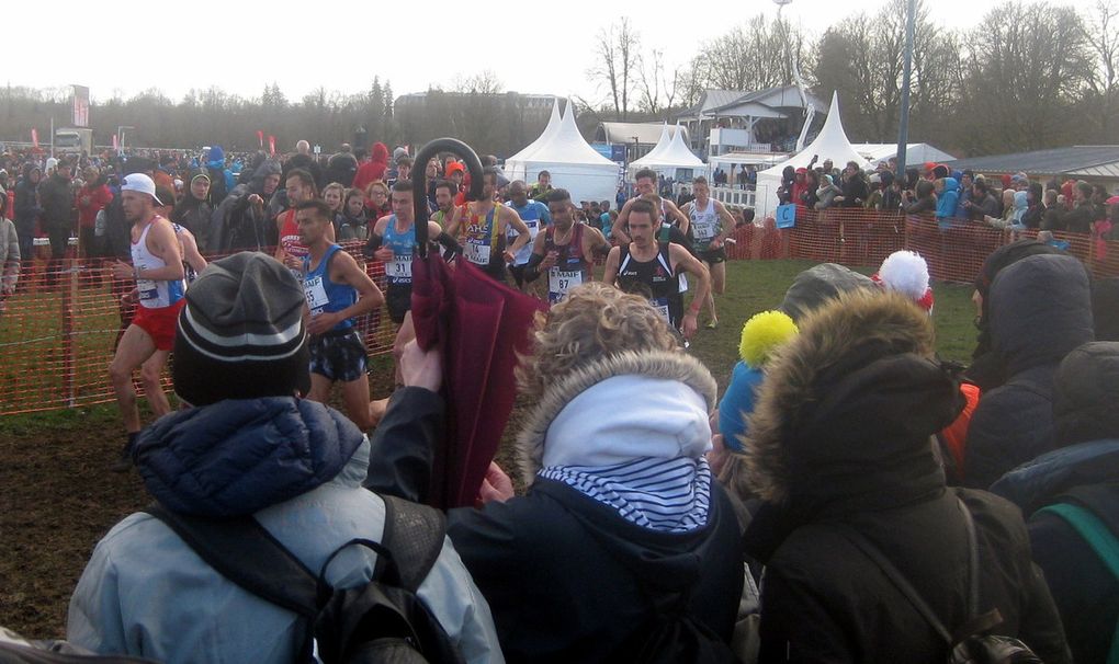 HIVERNALES 2019