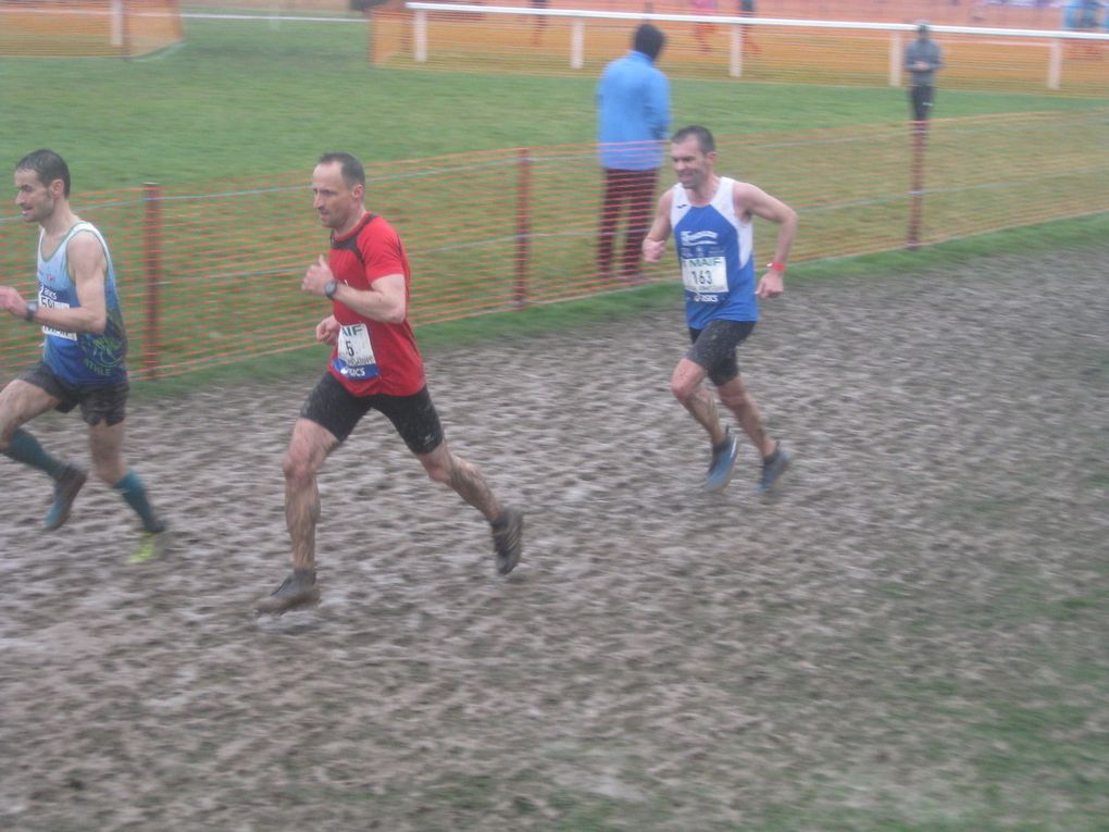 HIVERNALES 2019