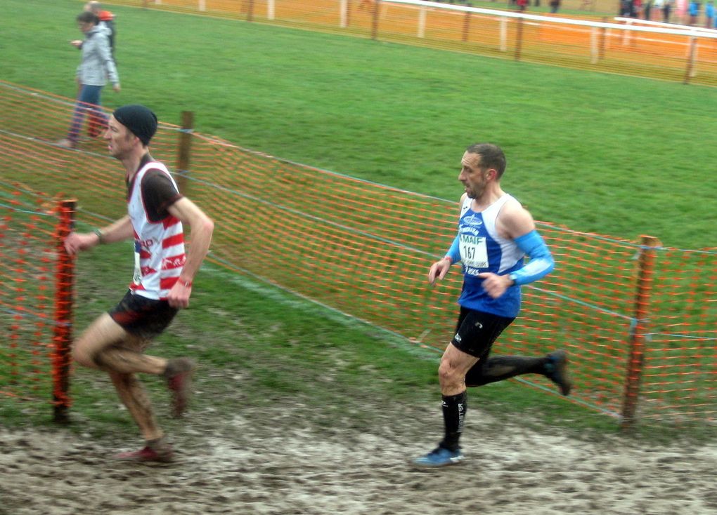 HIVERNALES 2019