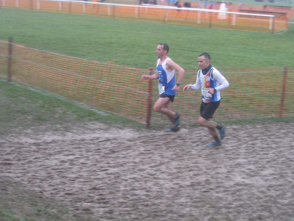HIVERNALES 2019