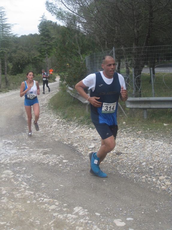 HIVERNALES 2019