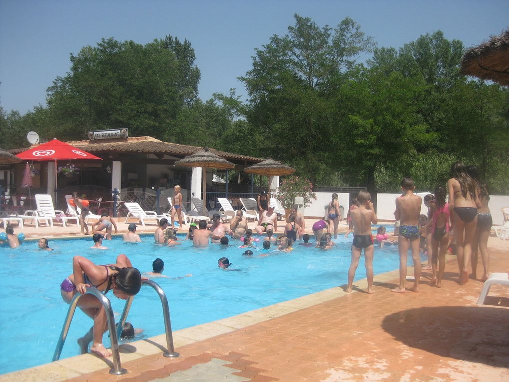 ESTIVALES 2019