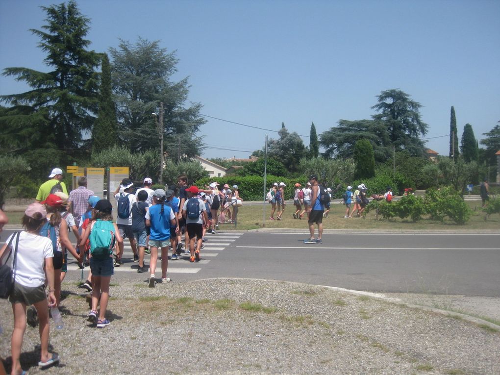 ESTIVALES 2019