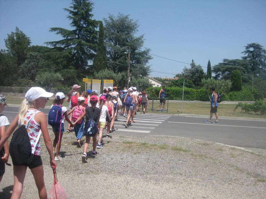 ESTIVALES 2019