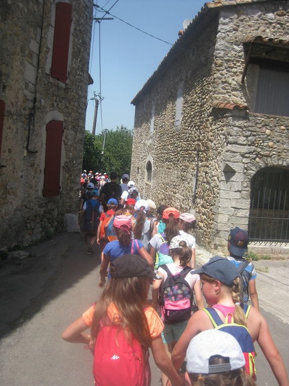 ESTIVALES 2019