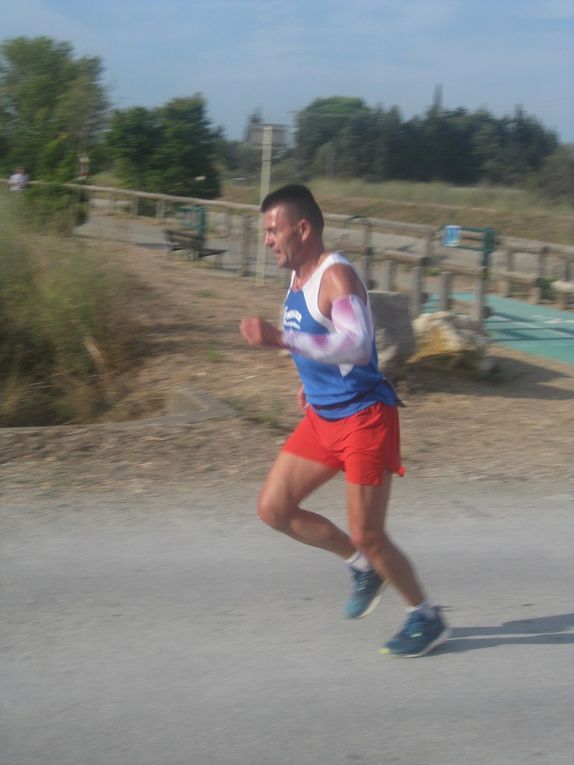 ESTIVALES 2019