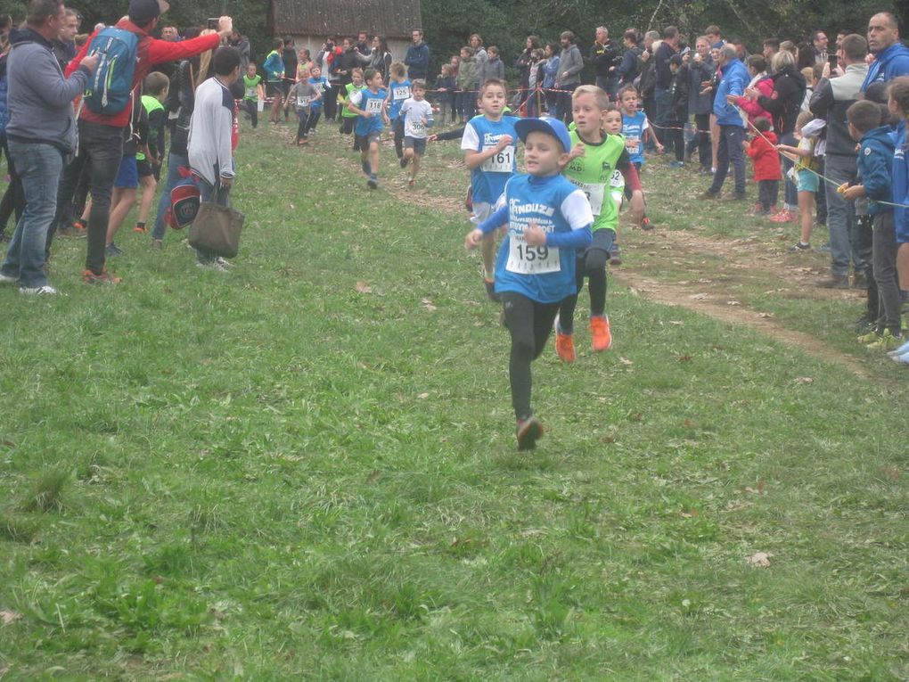 AUTOMNALES 2019