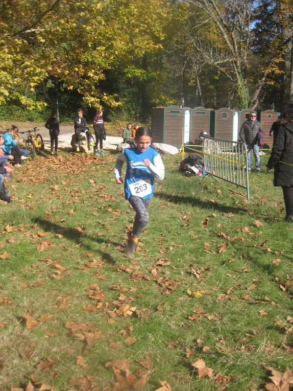 AUTOMNALES 2019