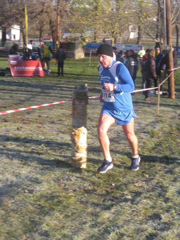 HIVERNALES 2020